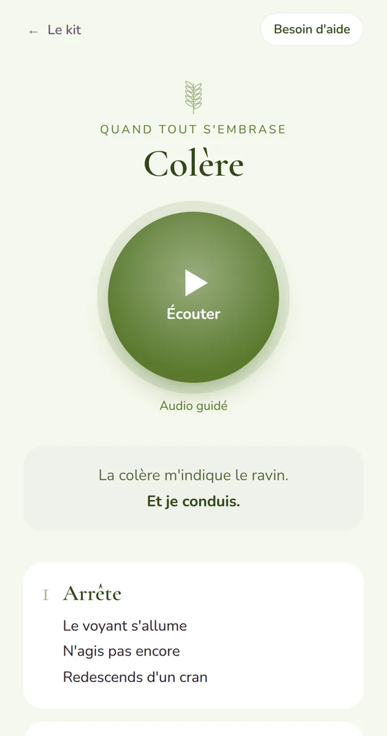 La fiche « Colère » du Kit et ses étapes
